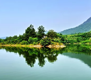 同花顺(中国)一站式服务官网